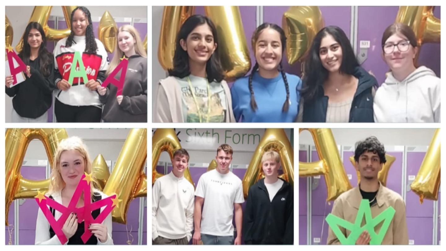 Twelve of Alderbrook's successful A level students